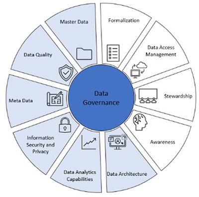 DAMA Data Governance Assessment areas with Master Data, Data Quality, Meta Data, Information Security and Privacy, Data Analytics Capabilities and Data Architecture highlighted.