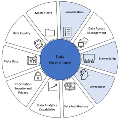 DAMA Data Governance Assessment areas with Formalization, Stewardship and Awareness.